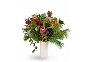 BloomsyBox Farm-Fresh Winter in the Sierras, Red and Green Design, Care Card, No Vase,Flower Food, Lush Greenery, Flower Delivery- Gift for Birthday, Anniversary, Christmas, Winter