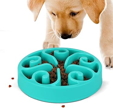 dog feeding bowls