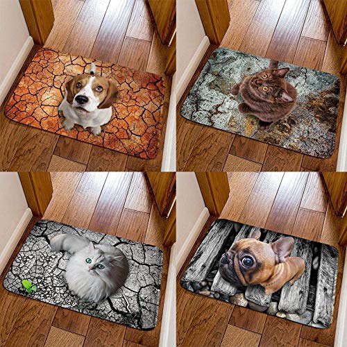 mekolen Estera Linda del Estampado de Animales 3D Forma Cuadrada Antideslizante Estera del Cuarto de baño Alfombras (23,6 x 15,7 Pulgadas)
