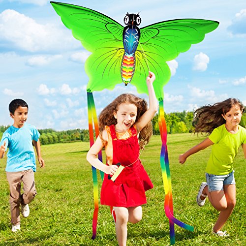 Aitey Easy Fly Kite, Rainbow Butterfly Kite for Kids and Adult, One of the Best Outdoor Games and Activities, with 165" of Line and Handle - Great Beginner, Amateur Kite (Green) - Thumbnail 3