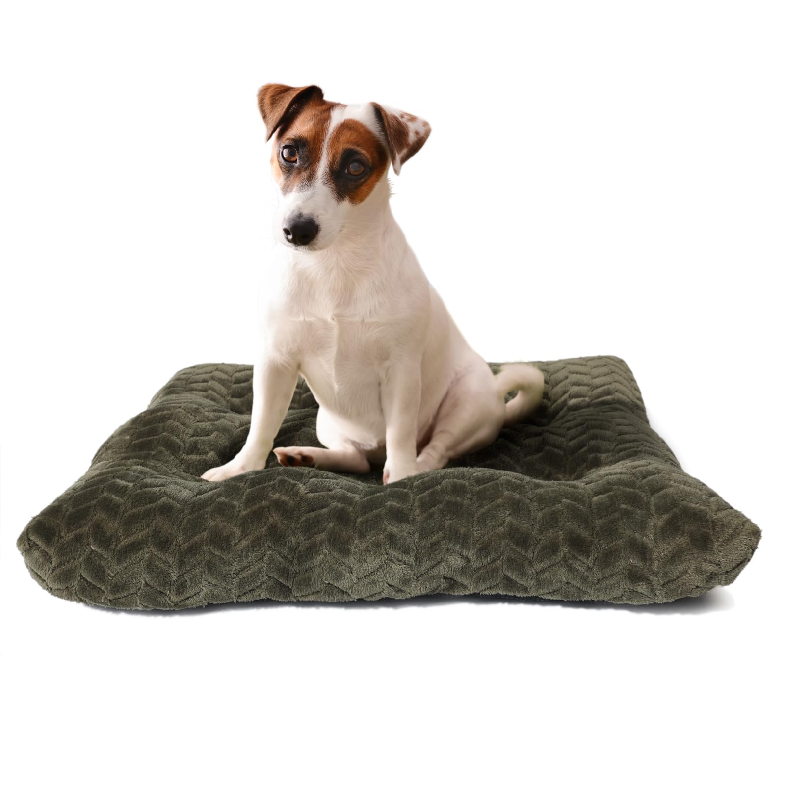 Photo inspiration: Soft Weaved Cotton Dog Crate Pad Quality Reference: 30 Inch Dog Crate Bed Crate Pads For Dog Cages