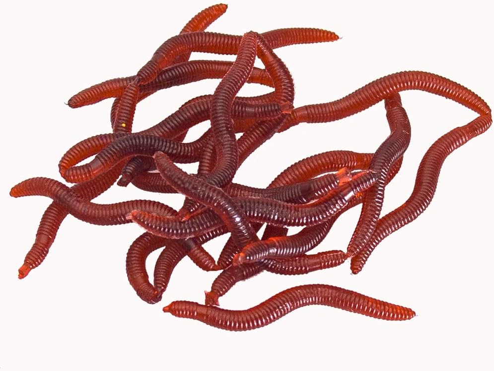 BeeSpring 100PCS Worms Soft Fishing Lure Baits : Sports & Outdoors