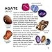 Rock and Mineral Collection 10 piece Mix #1, in Special Box with 27 page Rock Identification Book and Educational ID card, includes Shark Teeth, cut Geode, Red Tiger Eye and more!