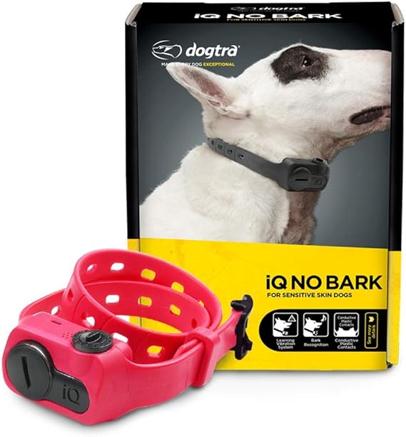 labrador retriever golden retriever mix puppies for sale