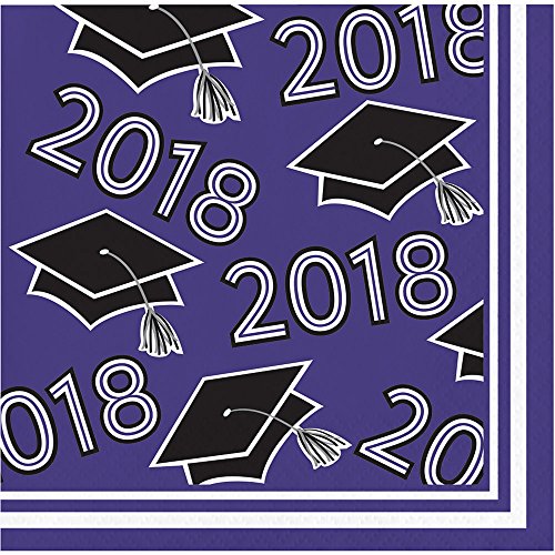 Creative Converting 328240 Beverage Napkins, Purple