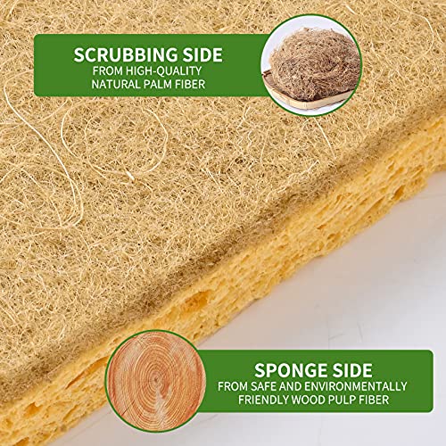 12 Pack Kitchen Dish Sponges, Natural Plant Palm Fiber Scrub Sponge with Non Scratch