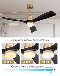52" Modern Black and Gold Ceiling Fan with Lights