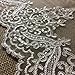 Bridal Veil Lace Trim Gorgeous Elegant Alencon Embroidered Corded Sequined Mesh, 8