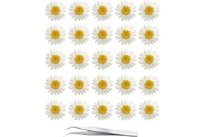 60Pcs White Dried Daisy Pressed Flowers - YouthBro 60Pcs Real Nature Flowers Set for Resin DIY Jewelry Candle Soap Vase Making Nail Card Scrapbook Art Craft Floral Decors