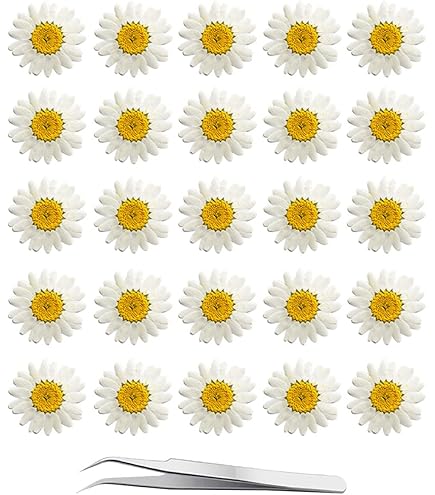Suministros Scrapbooking Suministros Para Arte Y Manualidades - Flores Secas Prensa, Marcadores, Tarjetas - Ideal Para Scrapbooking Y Decoración Decoración Tarjetas Flores Secas