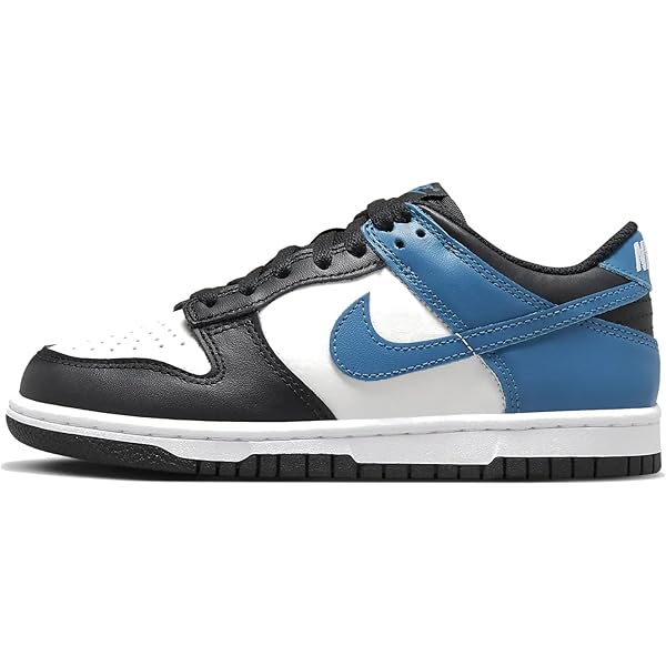 Amazon.com | Nike Dunk Low Big Kids' Shoes (DH9765-104