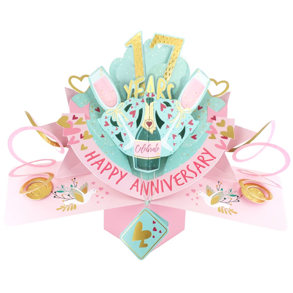 17 Years Happy 17th Anniversary Pop-Up Greeting Card Love Kate's 3D Pop Up Cards POP216MC17