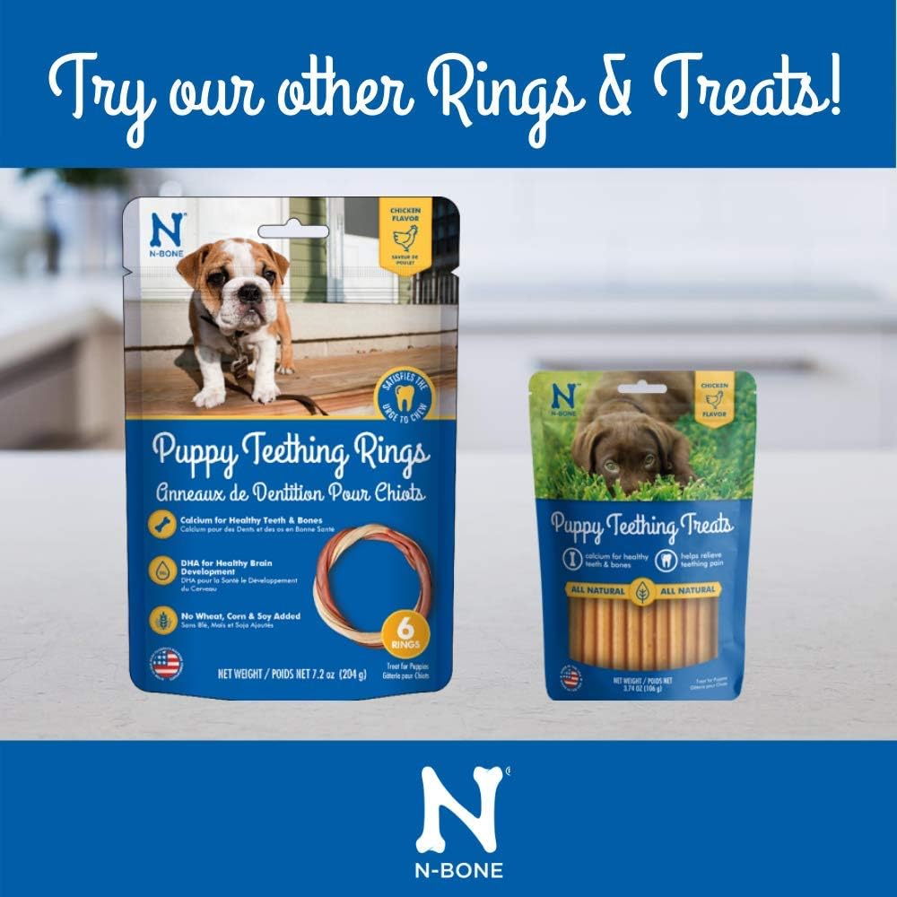 N Bone Puppy Teething Ring Pumpkin Flavor 6 Pack Amazon Co Uk Pet Supplies