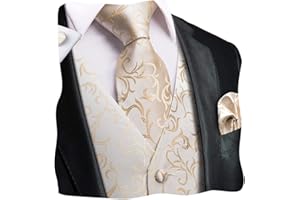 Dubulle Mens Paisley Tie and Vest Set with Pocket Square Cufflinks WaistCoat Suit for Tuxedo