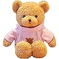 BSVOME 11.8 inches Teddy Bear Stuffed Animals Soft Plush Cute Teddy Bear with Hoodie Doll for Boys Girls (Pink)