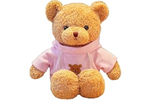 BSVOME 11.8 inches Teddy Bear Stuffed Animals Soft Plush Cute Teddy Bear with Hoodie Doll for Boys Girls (Pink)