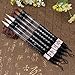 FTVOGUE 6 Pcs/Set Water Brush Pen, Piston Water Color Brush Chinese Japanese Calligraphy Pen for Beginner Painting Reusable Brush Drawing Pen