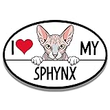 Magnet Me Up I Love My Sphynx Cat Breed Car