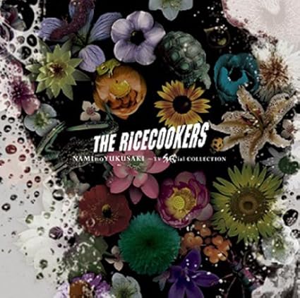 Naminoyukusaki Tv Special Collection Dvd付 Amazon Co Jp