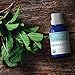 Peppermint Essential Oil by Ancient Nutrition, Certified Organic, 100% Pure and Therapeutic Grade, Great with Oil Diffuser or Moisturizer, Invigorating and Refreshing, 15ml