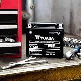 Yuasa YTX12 12V 180CCA Maintenance Free AGM Motorcycle Battery view 4