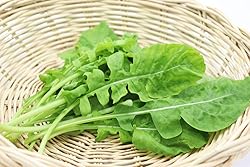 Astro Arugula Lettuce Seeds for