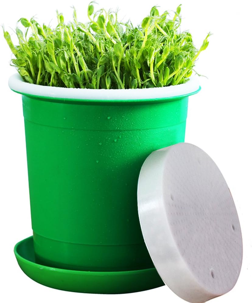 Seed Sprouter Pot,Big Capacity 8.27"x8.27"x8.4"Green Health Bean Sprouting Device 5 in 1:Inner+Outer Bucket,Pressure Plate,Lid,Tray and Counting Cup