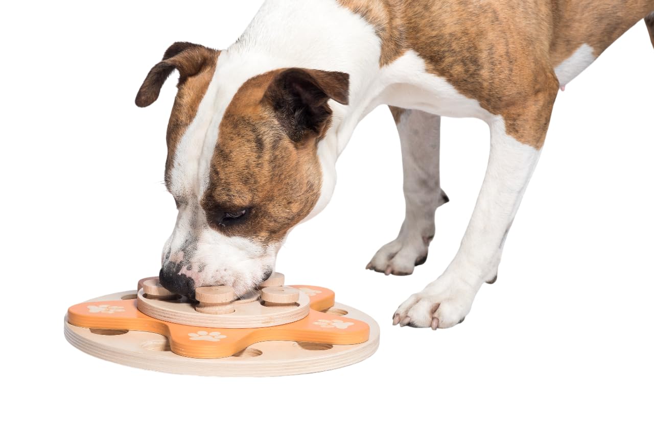 My Intelligent Dogs Dog's Flower Interactive Wooden Dog Toy, Intelligent Toy for Dogs