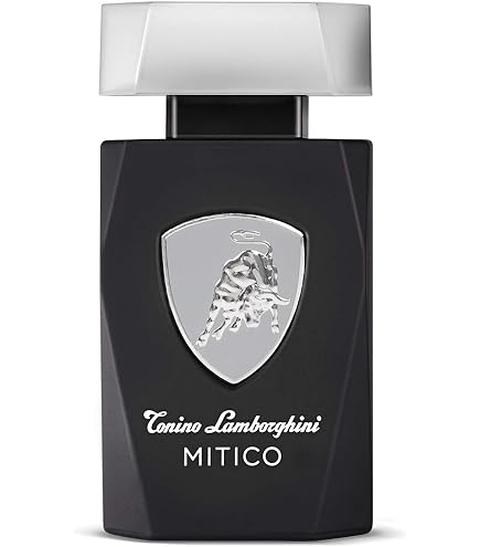 Amazon.com : Torino Lamborghini Tonino Lamborghini Sportivo Men