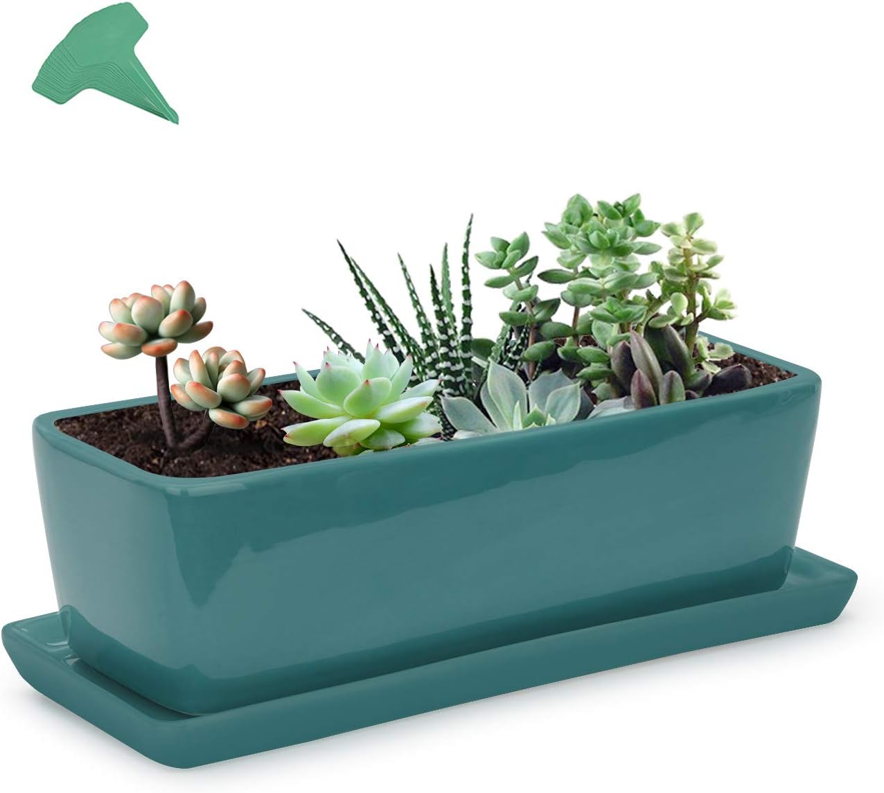 Online At Best Price Growneer 14 Inches Rectangular Black Ceramic Succulent Planter Pot Flower Pots With 15 Pcs Plant Labels Porcelain Planters With Saucer For Garden Patio Yard Bedroom Living Room Cheap