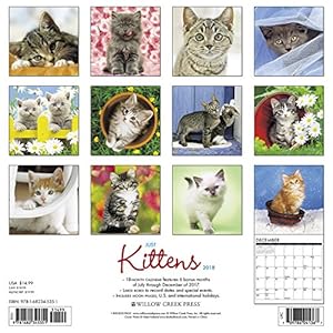 Just Kittens 2018 Calendar