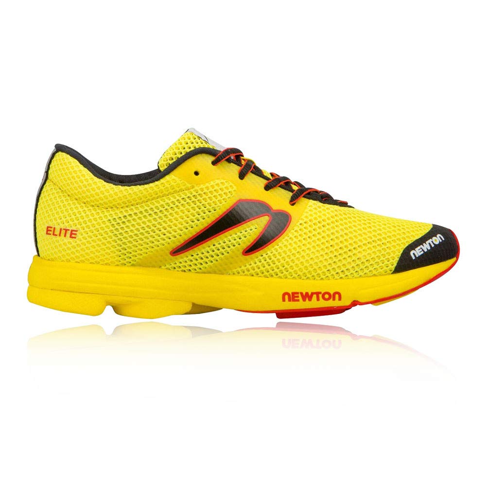 discount newton running shoes