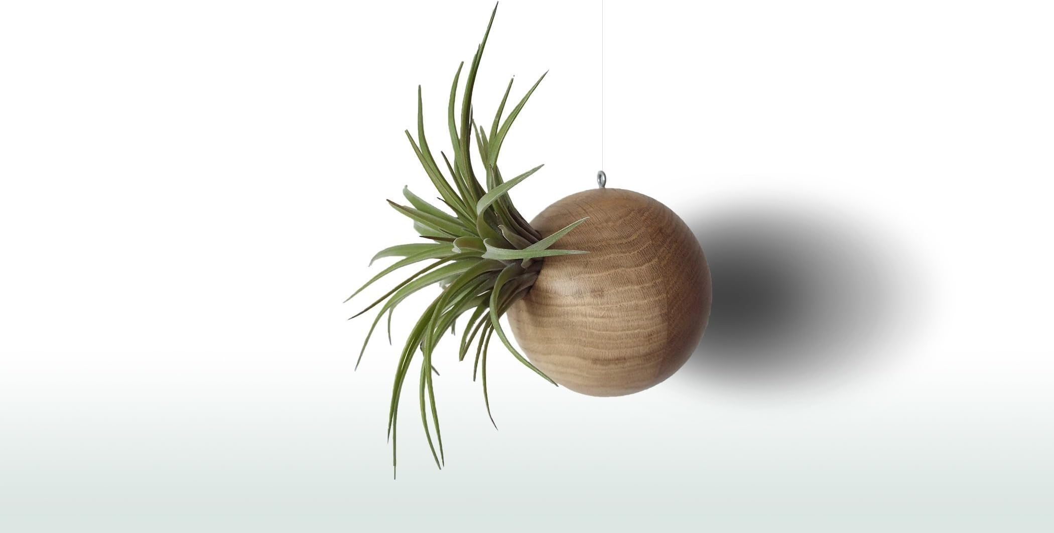 Handmade Wooden Flower Pot Holder With Tillandsia - Air Plant Hanging Planter Home Office Display