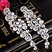 BriLove Silver-Tone Dangle Earring Earrings Women's Wedding Bridal Bohemian Boho Crystal Floral Chandelier Hollow Clear