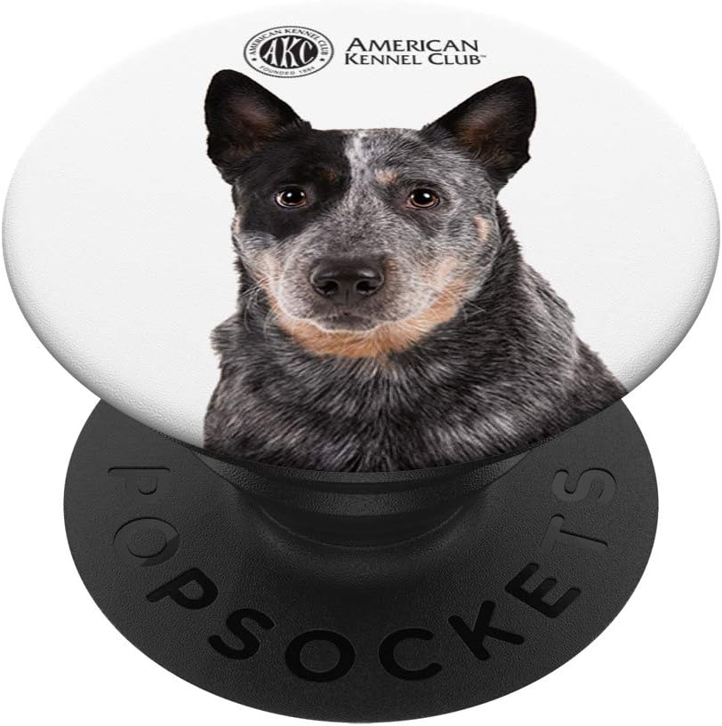 akc australian cattle dog