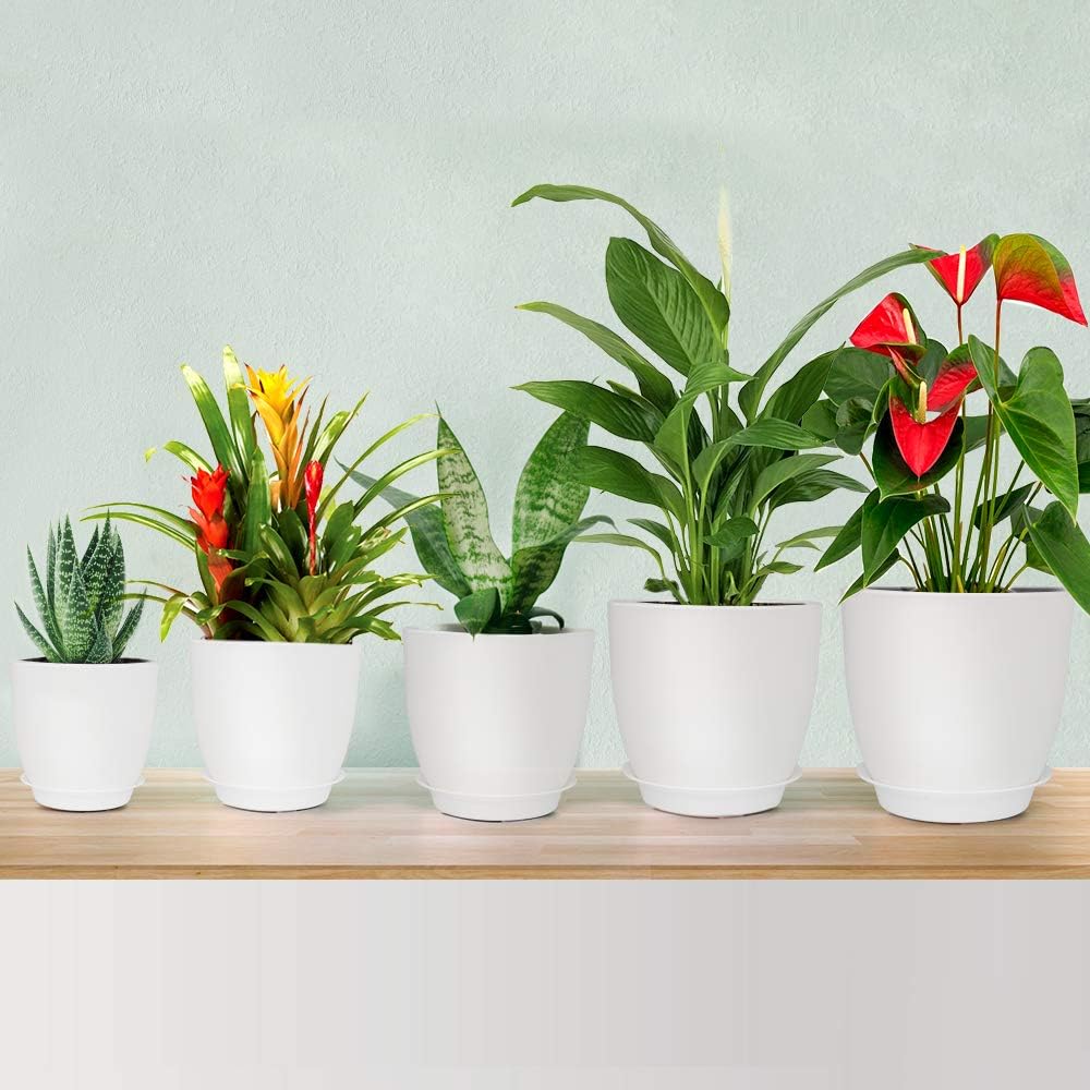 Plastic Planter, HOMENOTE 7/6/5.5/4.5/3.5 Inch Flower Pot Indoor Modern Decorative Plastic Pots for Plants with Drainage Hole and Tray for All House Plants, Succulents, Flowers, and Cactus, White: Kitchen & Dining