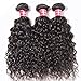 Nadula 8A Brazilian Virgin Hair Water Wave 3 Bundles Wet and Wavy 100% Unprocessed Virgin Human Hair Extensions Natural Color (12 14 16 Inch)