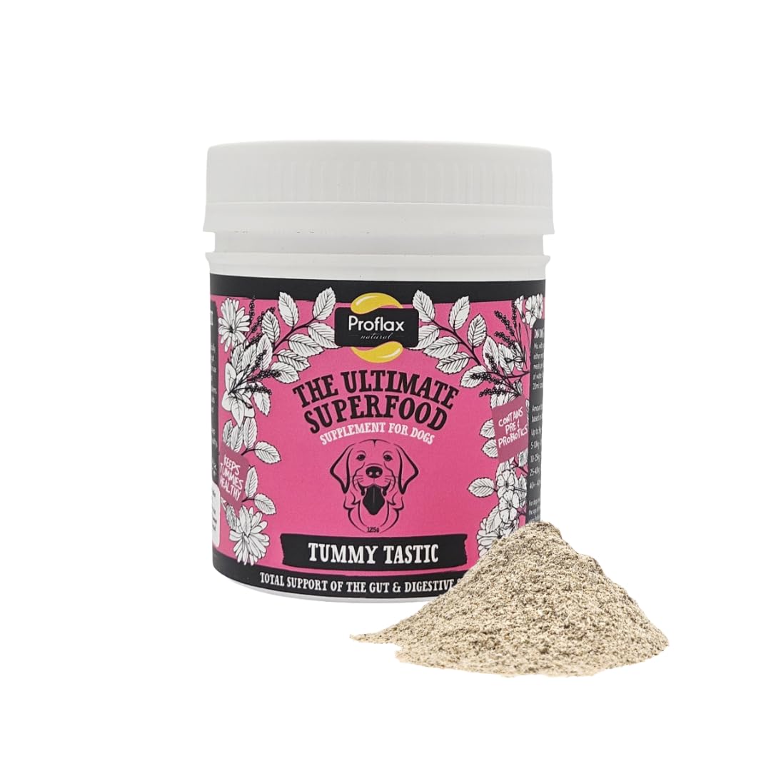 Proflax Tummy Tastic Digestive Care for Dogs – Pre & Probiotic Blend for Gut Health, Digestion & Stool Quality - 350g