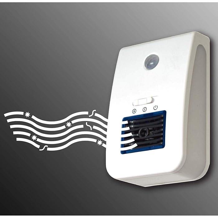 2pk Motion Light Plus Air Purifier