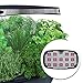 AeroGarden Extra (LED) with Gourmet Herb Seed Pod Kit