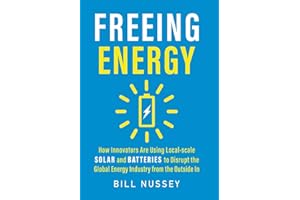 Freeing Energy: How Innovators Are Using Local-scale Solar and Batteries to Disrupt the Global Energy Industry from the Outside In