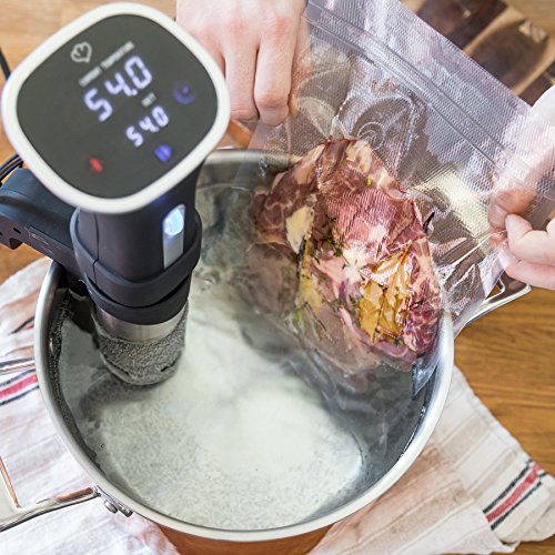 Die 12 besten Sous Vide Sticks / Stäbe • [Test 2018] DieKochstube