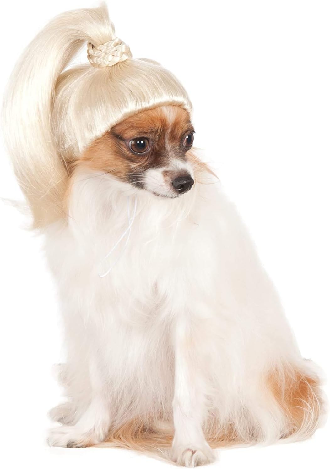 Rubie's Pet Wig Blonde Ponytail, Small/Medium