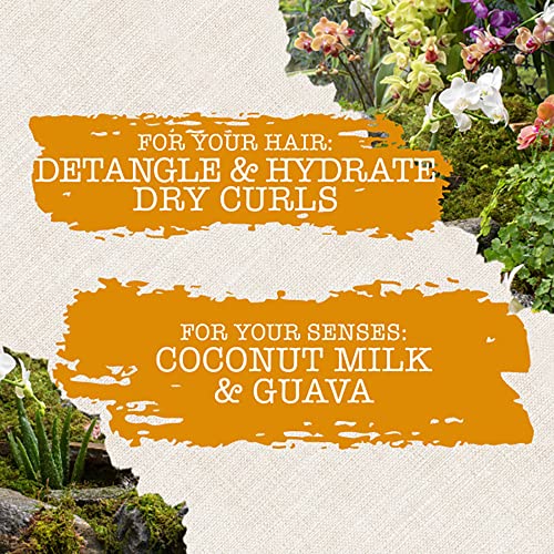 MAUI MOISTURE NOURISH & MOISTURE + COCONUT MILK SHAMPOO + CONDITIONER TO HYDRATE AND DETANGLE CURLY HAIR, LIGHTWEIGHT DAILY MOISTURIZING SHAMPOO, VEGAN, SILICONE & PARABEN-FREE, 13 FL OZ