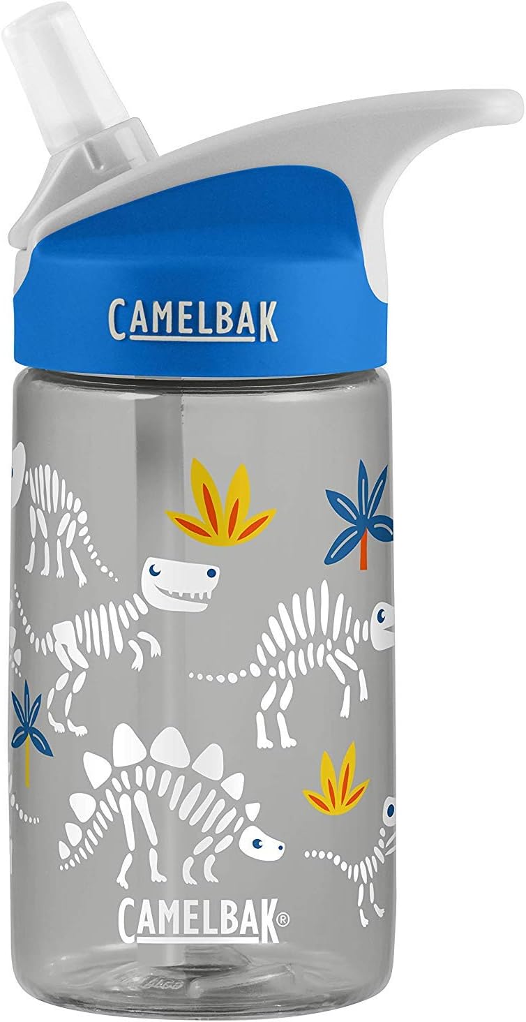 camelbak dinosaur bottle