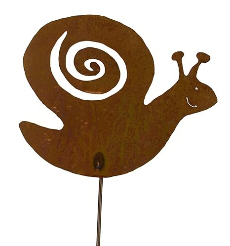 Where to find snails in your backyard