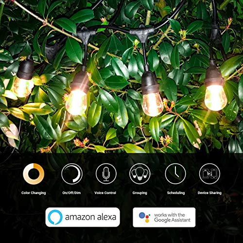 FOXLUX Outdoor String Lights - 48FT Dimmable Smart Outdoor Lights, S14 Plastic Shatterproof and Waterproof LED Lighting, 24 Hanging Sockets, WiFi Control(iOS & Android), Compatible with Amazon Alexa