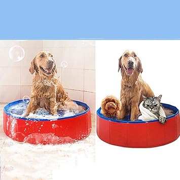 Amazon Co Jp 犬が泳ぐプラスチックプール 猫と犬のバスポータブルペットプール 犬のための子供プール ペット用品