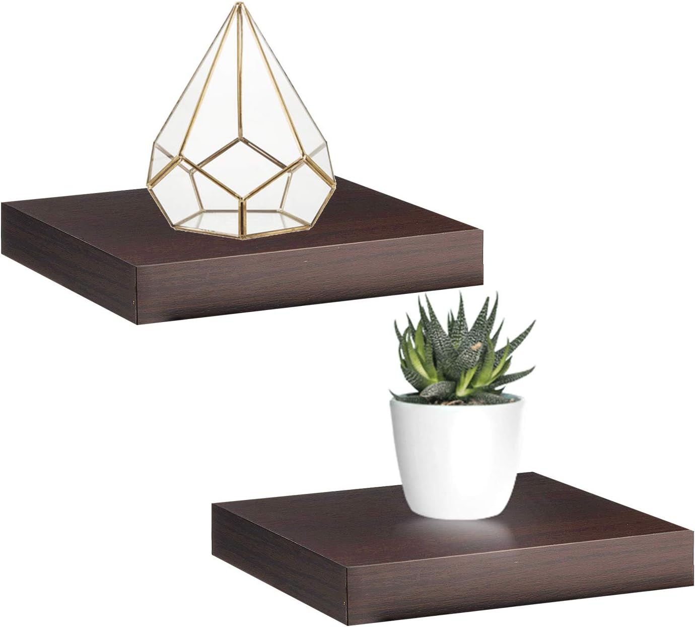 Halter Set of 2 Floating Shelves Decorative & Functional Wood