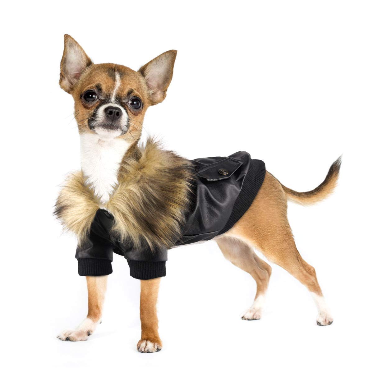 PETLESO Dog Coat Waterproof Dog Leather Jacket Warm Dog Clothes Winter Jacket for Small/Medium Dog Puppy-L